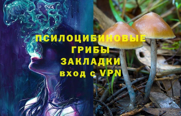 СК Алексеевка