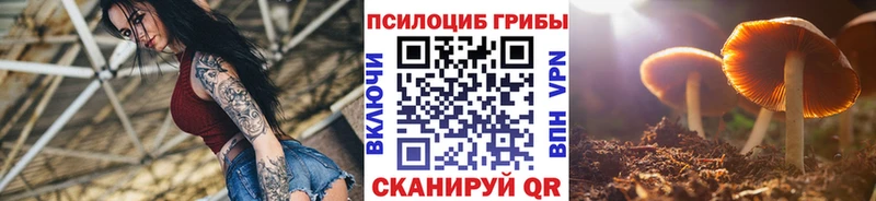 Галлюциногенные грибы Magic Shrooms  Зарайск 